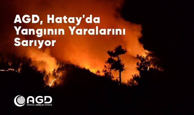 AGD, HATAY’DA YANGININ YARALARINI SARIYOR