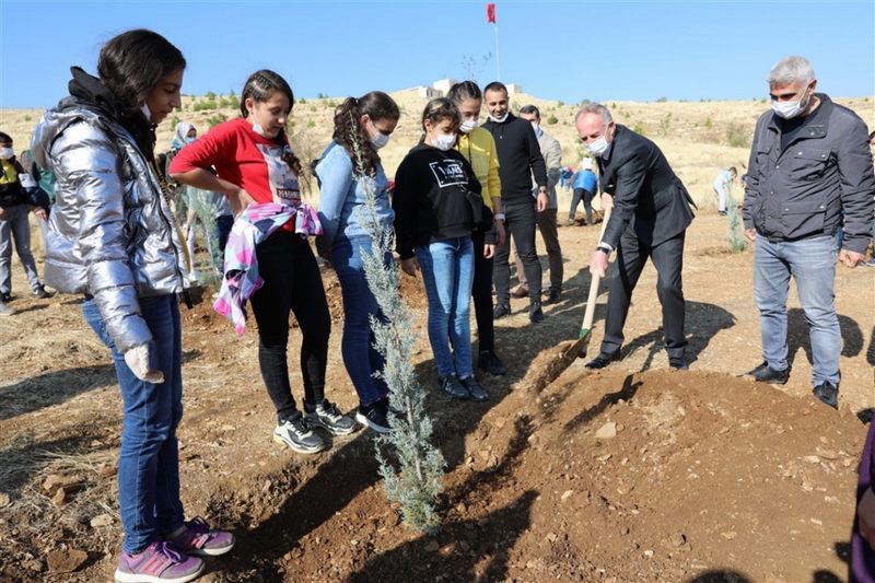 MARDİN