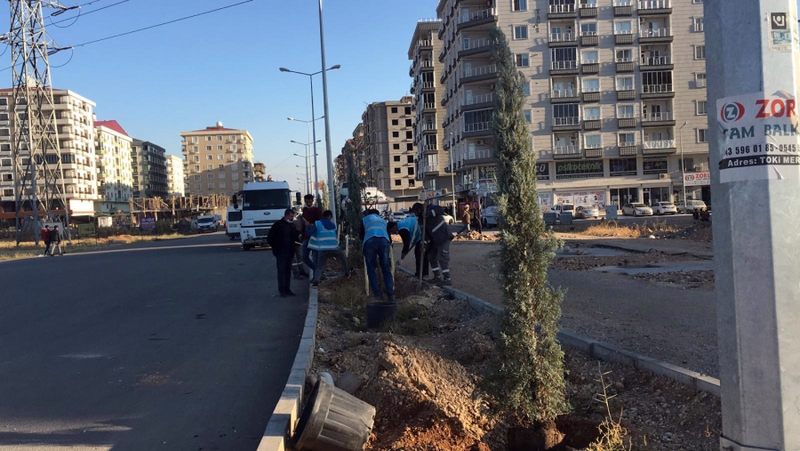 Mardin Büyükşehir Belediyesi, Yeşil Bir Kent İçin Çalışmalarına Başladı