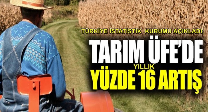 Tarım-ÜFE yıllık yüzde 16,28, aylık yüzde 0,49 arttı