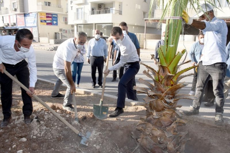 NUSAYBİN BELEDİYESİ NEVRUZ BULVARINDA AĞAÇLANDIRMA ÇALIŞMASI BAŞLATTI