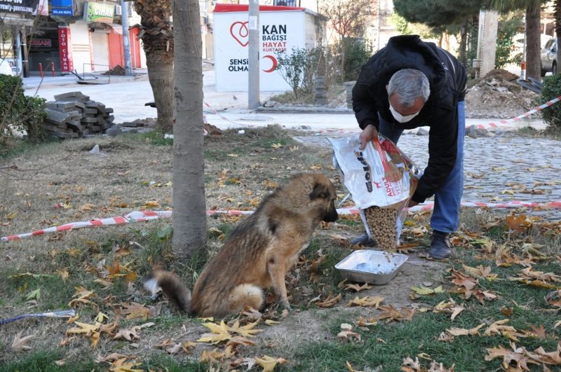 KIZILTEPE BELEDİYESİ KISITLAMA GÜNLERİNDE SOKAK DOSTLARINI UNUTMADI