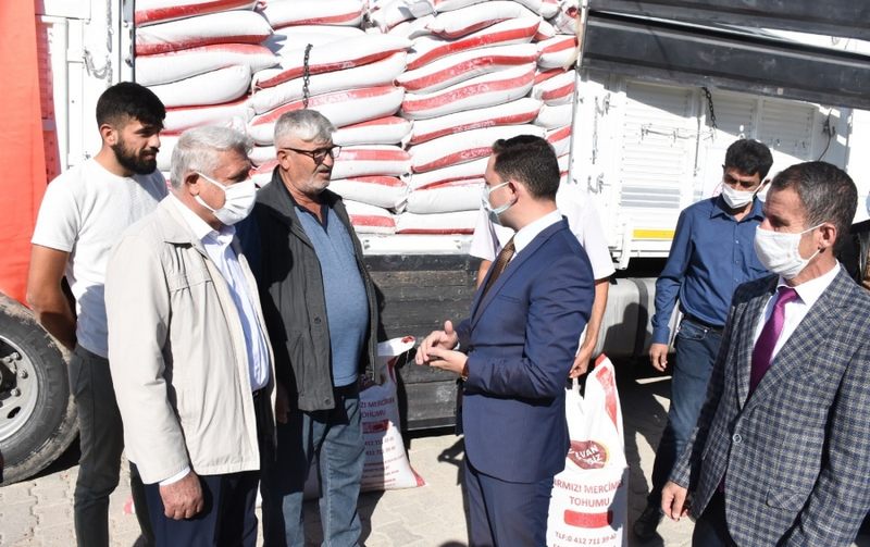 Nusaybin Kaymakamı Ercan Kayabaşı, mercimek tohumu dağıtım programına katıldı.