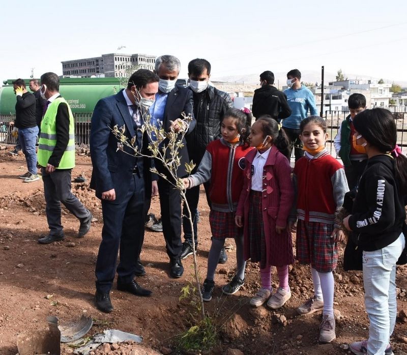 Nusaybin İlçesinde 11 Kasım Milli Ağaçlandırma Günü