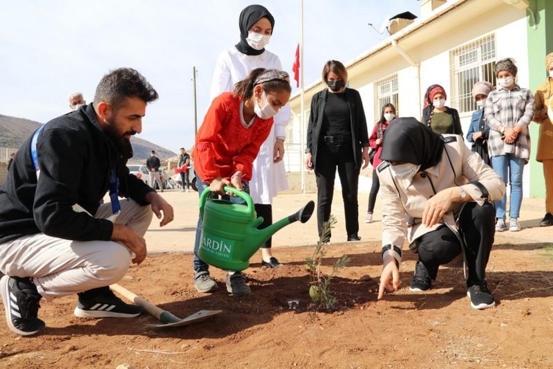 MARDİN YEŞİLLİ İLÇESİNDE  ÖĞRENCİLERDEN  FİDAN DİKİMİ...