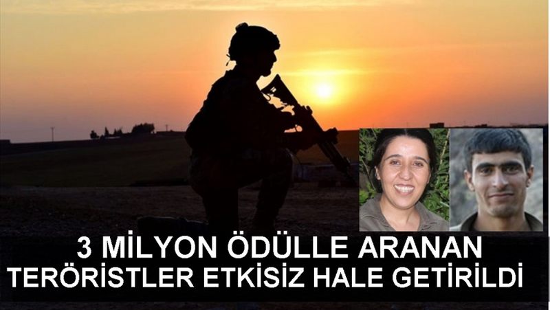 Turuncu ve Yeşil Kategoride Aranan Teröristler Etkisiz Hale Getirildi