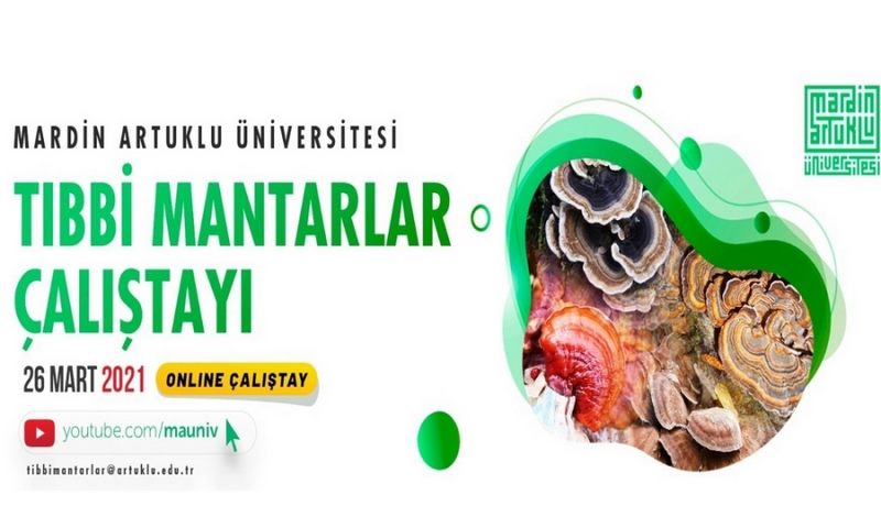 MARDİN ARTUKLU ÜNİVERSİTESİNDEN TIBBİ MANTARLAR ÇALIŞTAYI