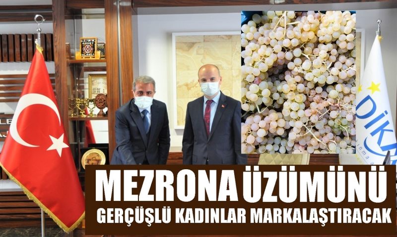 MEZRONA ÜZÜMÜNÜ GERÇÜŞLÜ KADINLAR MARKALAŞTIRACAK