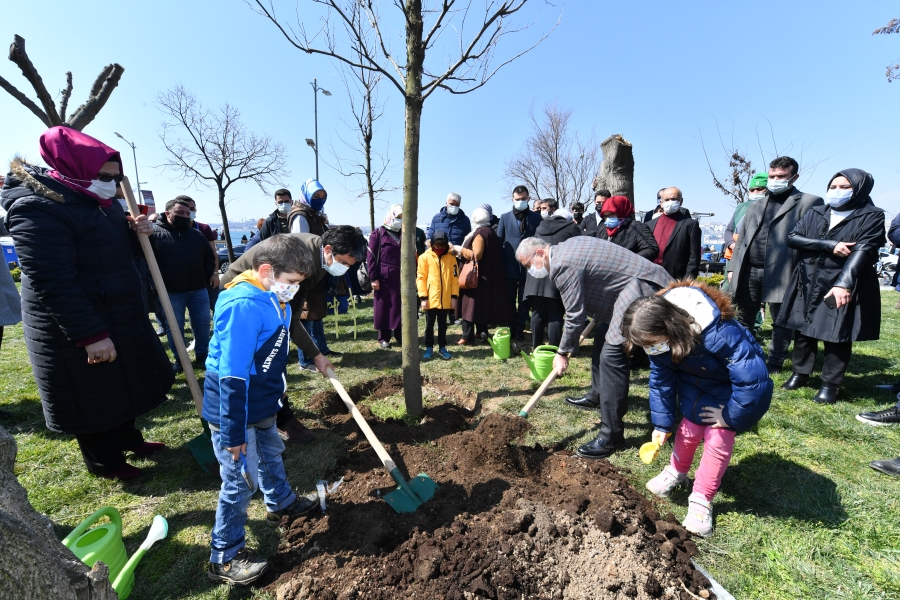 Üsküdar’da ki  parkta kesilen ağaçların yerine yenileri dikildi 