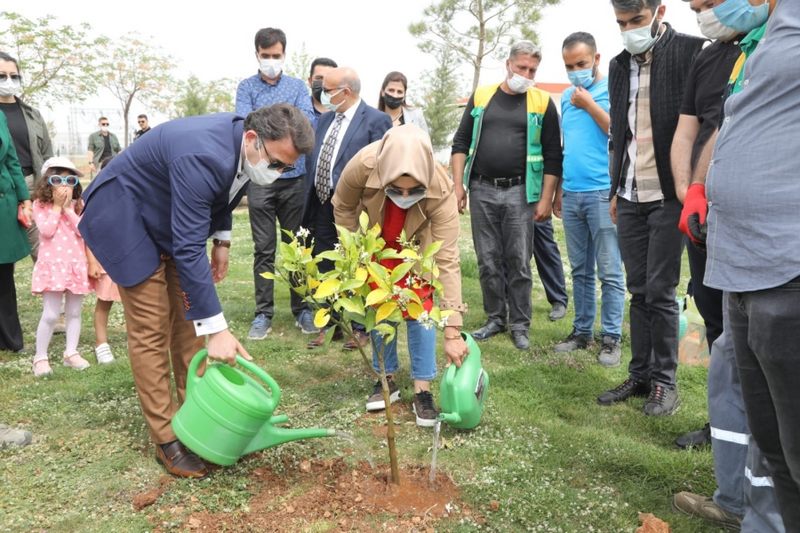 Kızıltepe ilçesinde Bin Fidan Toprakla Buluştu