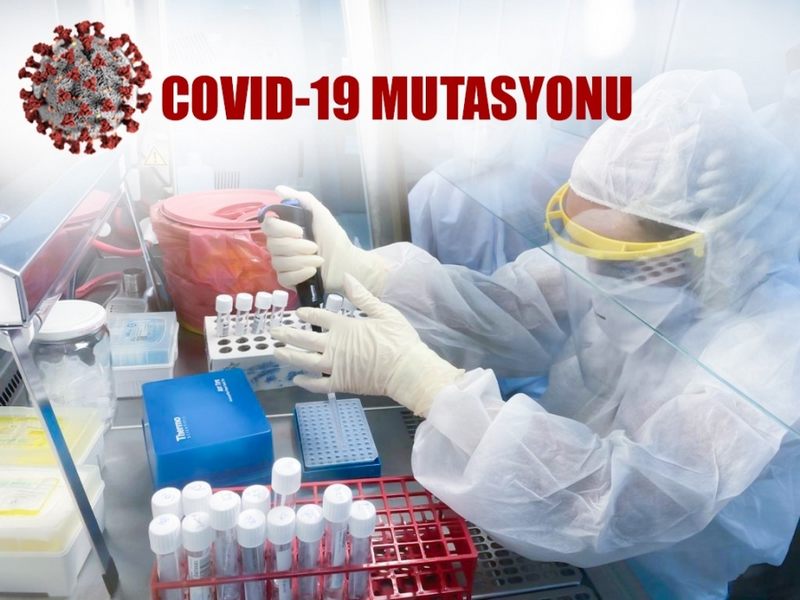 KKTC’de SARS-CoV-2’nin Güney Afrika ve Brezilya Varyantları Yok