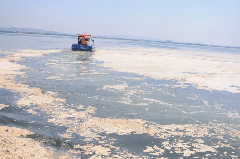 Müsilaja temas, insan sağlığına zarar verebilir 