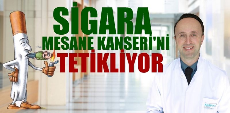 Sigara, mesane kanseri riskini 6 kat arttırıyor