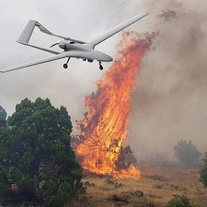 Orman yangınlarıyla mücadelesinde OGM’ye ödül