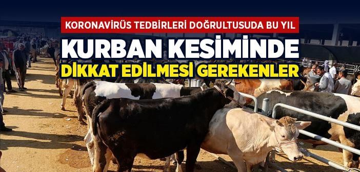 Kurban satış ve kesiminde  Uyulması Gereken Kurallar