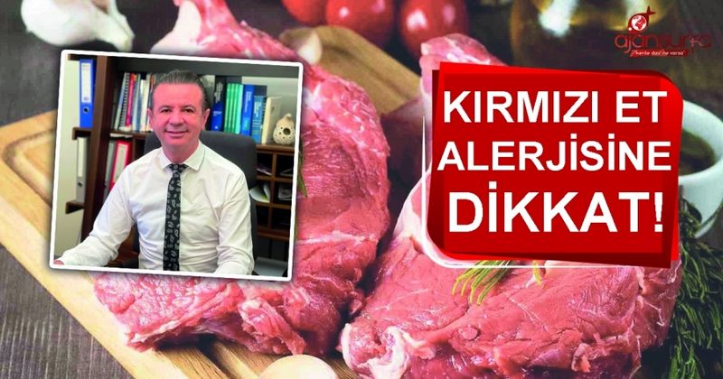 Kurban Bayramı Sonrası Kırmızı Et Alerjisine Dikkat! 