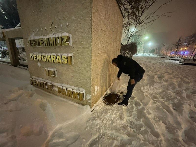 Mardin Büyükşehir Belediyesi Sokak Hayvanlarına Düzenli Mama Dağıtımı Yapıyor