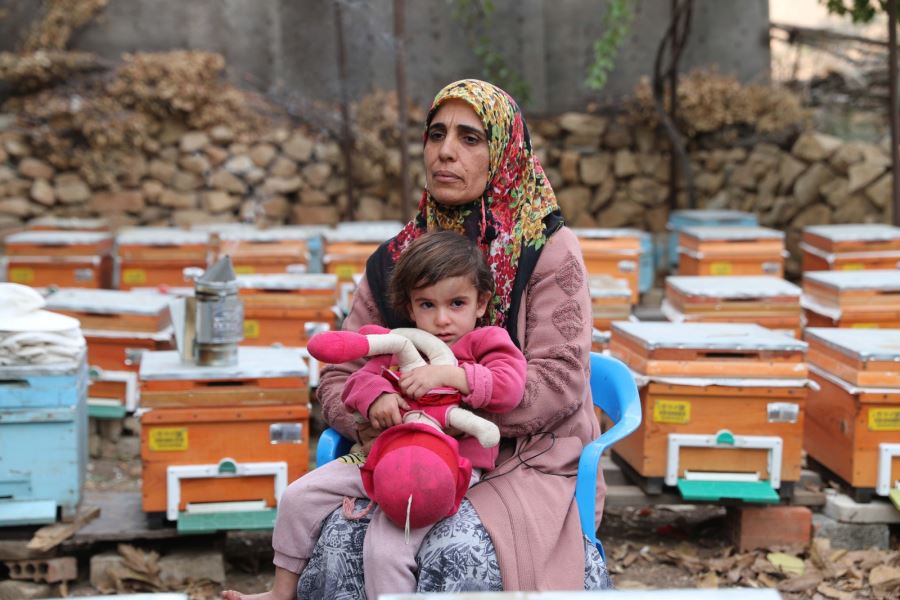 Mardinli kadınlar bal üreterek ekonomik hayata katılıyor