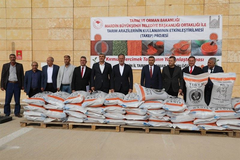 Mardin
