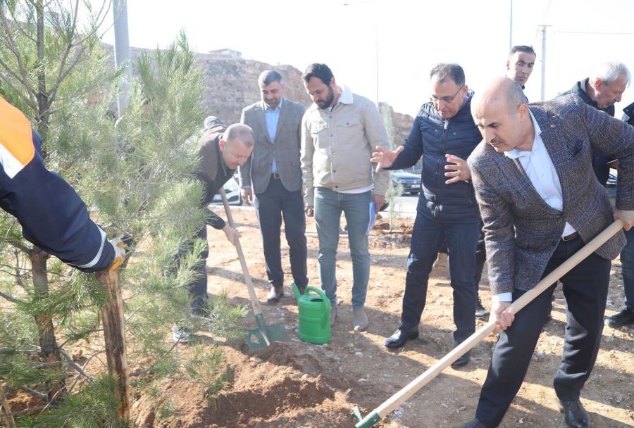 MARDİN BÜYÜKŞEHİR BELEDİYESİNDEN HOP GEÇİDİNDE  YEŞİLLENDİRME ÇALIŞMASI