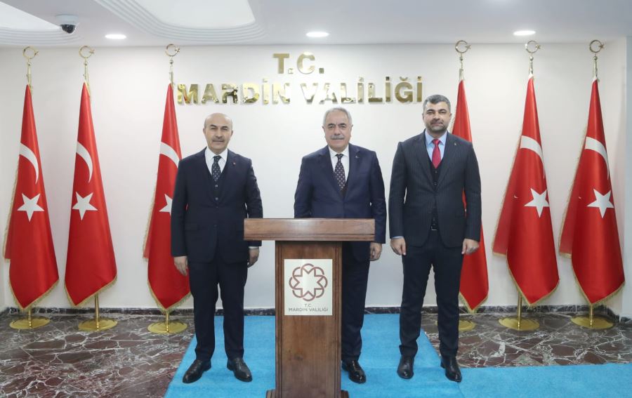 Bakan Yardımcısı Mehmet Hadi Tunç Mardin Valiliğini Ziyaret Etti