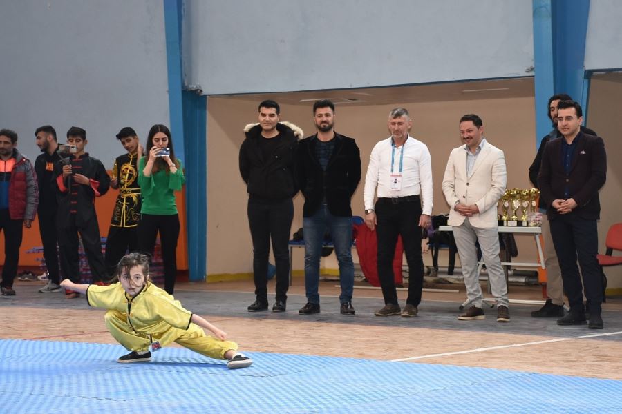  Nusaybin İlçesinde  Wushu – Kung Fu Mardin İl Seçmeleri Yapıldı