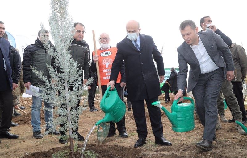 Mardin Valisi Mahmut  Demirtaş, Fidan Dikimi Programına Katıldı