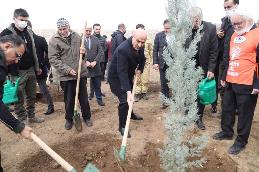 Mardin Valisi Mahmut  Demirtaş, Fidan Dikimi Programına Katıldı