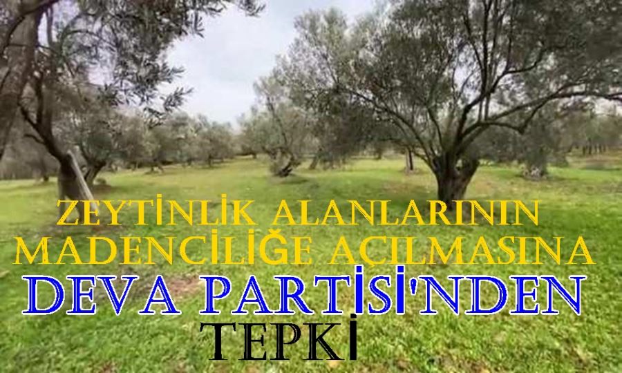 DEVA PARTİSİ