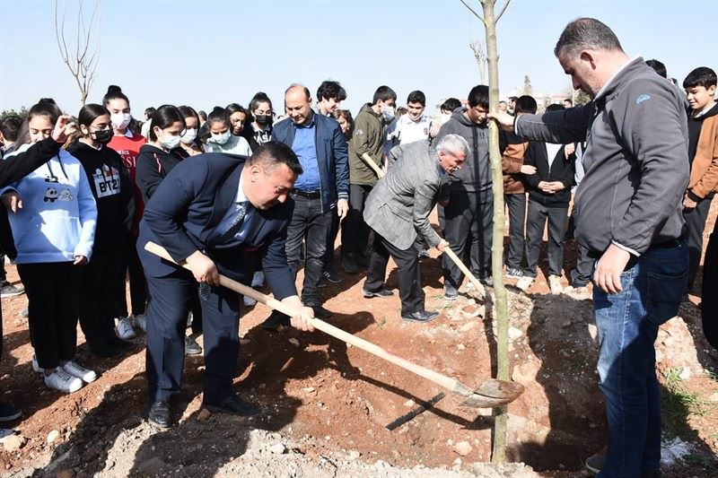 Nusaybin Kaymakamı Ercan Kayabaşı, Sınır Park Mesire Alanında Fidan Dikti.