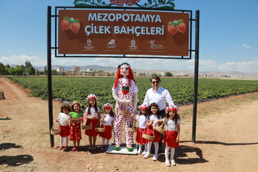 Mezopotamya Ovasında “Tarla Günü” ve “Kızıltepe Çileği” üretim serüveni etkinliği düzenlendi