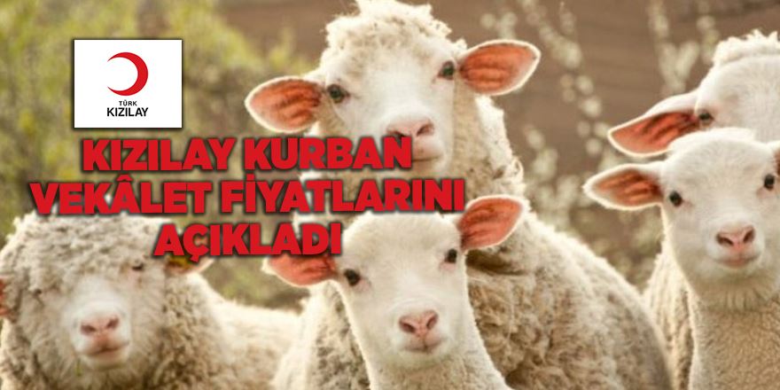 Kızılay Kurban Vekâlet Fiyatlarını Açıkladı