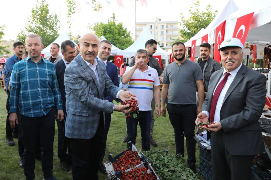 Mardin Valisi Demirtaş,16.Uluslararası  Yeşilli   Kiraz Festivaline Katıldı
