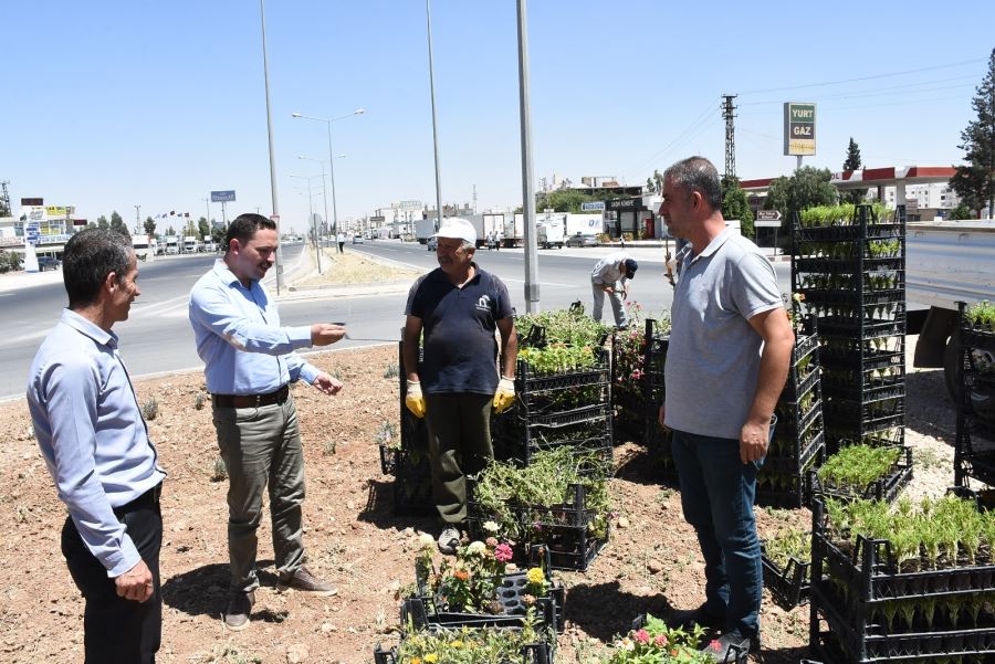  Nusaybin Kaymakamı Ercan Kayabaşı İpek Yolu’nda   Kavşaklara Süs Bitkileri Dikti.