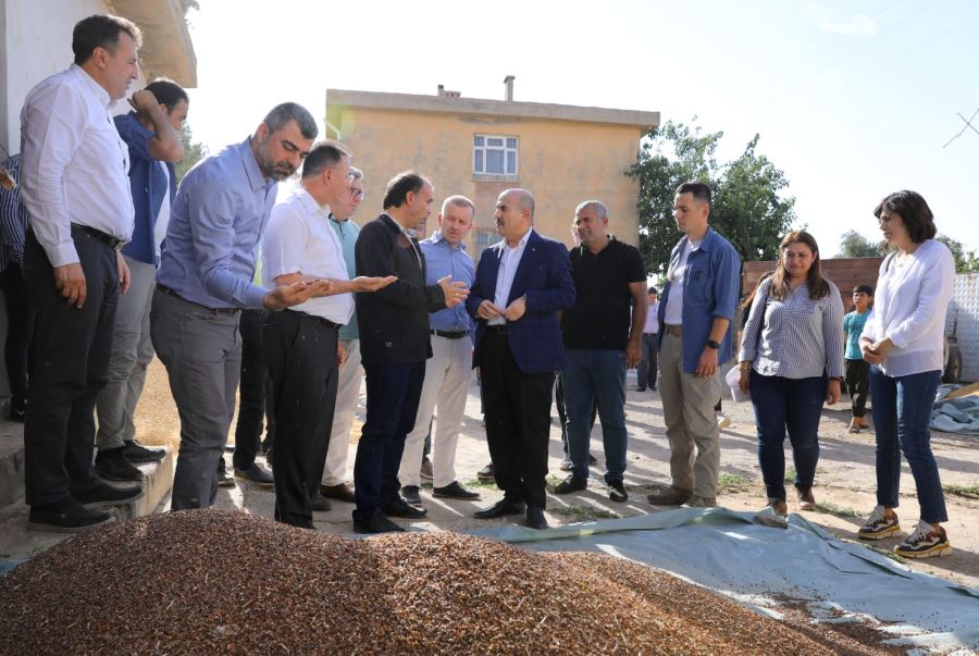 Mardin Valisi Demirtaş Saha Çalışmalarını İnceledi