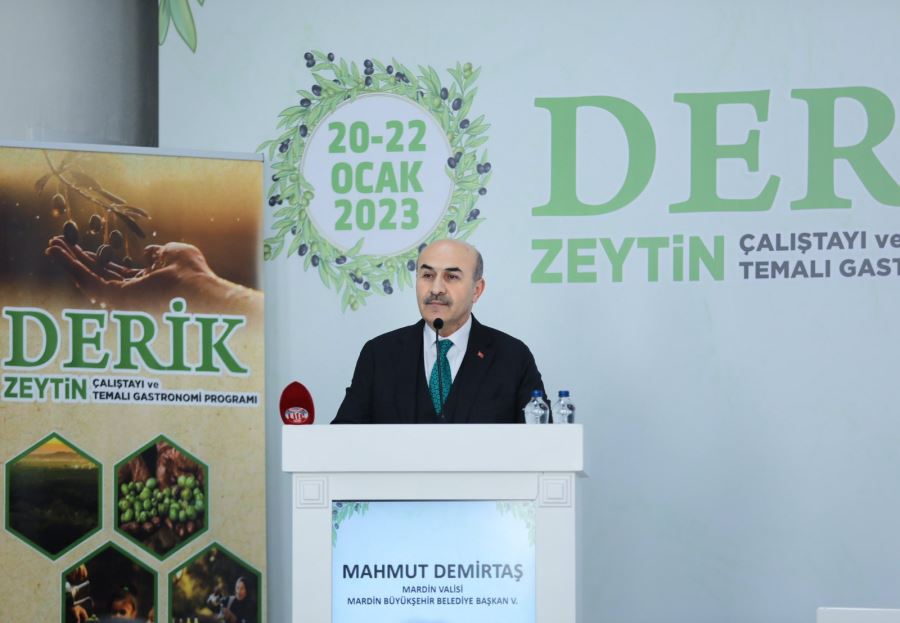 Derik Zeytin Çalıştayı Başladı