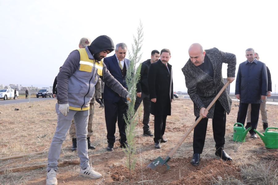 Mardin Valisi  Demirtaş, Nusaybin ilçesinde İncelemelerde Bulundu