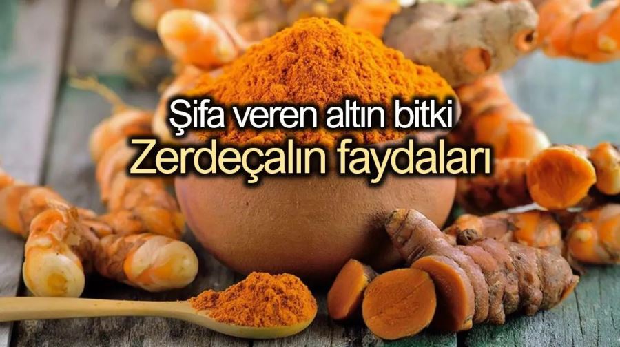 ZERDAÇAL