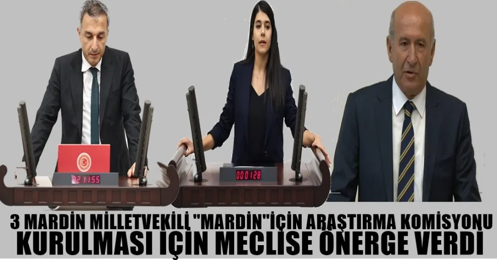 3 MARDİN MİLLETVEKİLİ