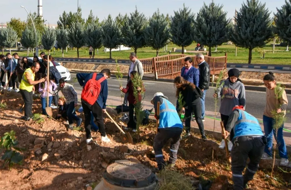 Mardin Tıp Öğrencileri  İlk Fidanlarını Toprakla Buluşturdu 