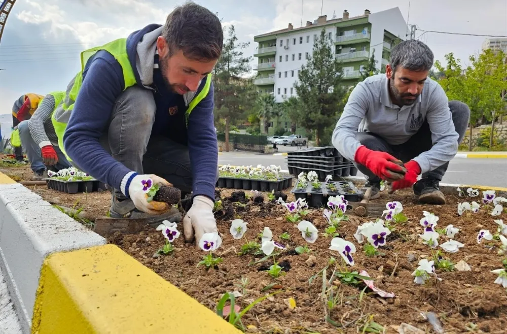 Mardin’de Kavşak ve Orta Refüjler  Çiçeklendi