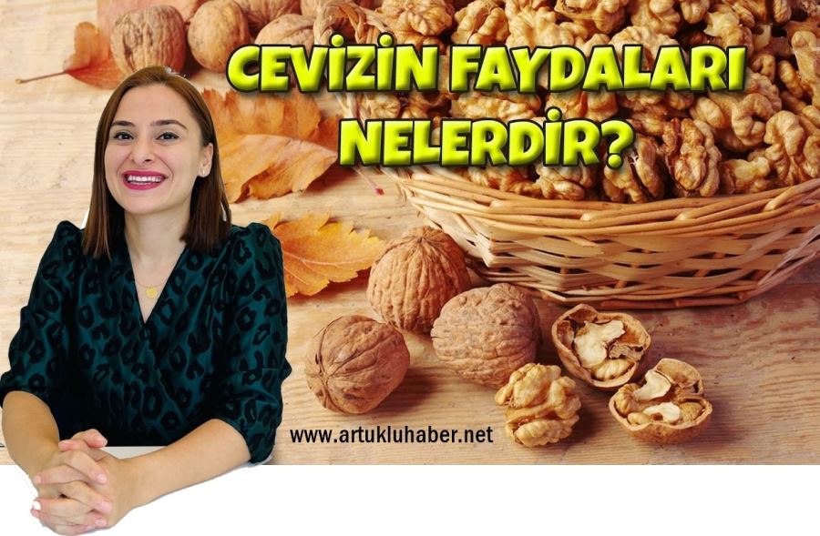  Cevizin Faydaları Nelerdir? Diyette Ceviz Yenir mi?