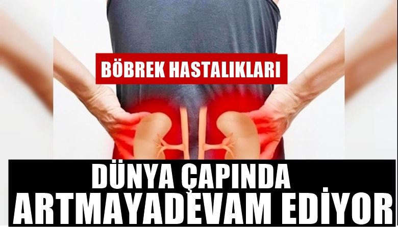 BÖBREK HASTALIKLARI DÜNYA ÇAPINDA ARTMAYA DEVAM EDİYOR