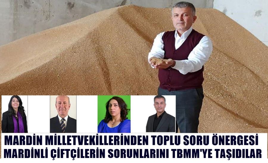  4 MARDİN MİLLETVEKİLİ  MARDİNLİ ÇİFTÇİLERİN SORUNLARINI  MECLİSE TAŞIDI