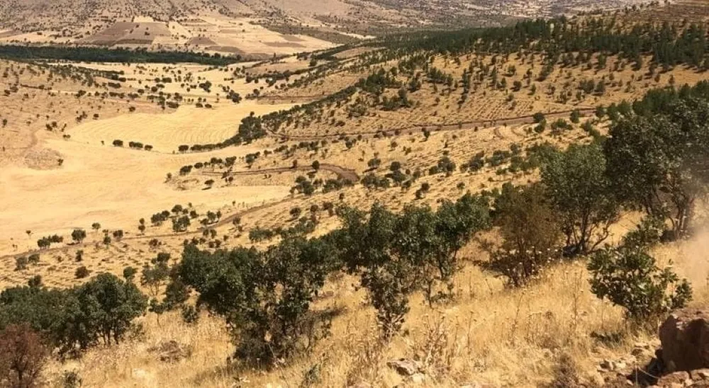 Mardin’de Ağaçlandırma Seferberliği