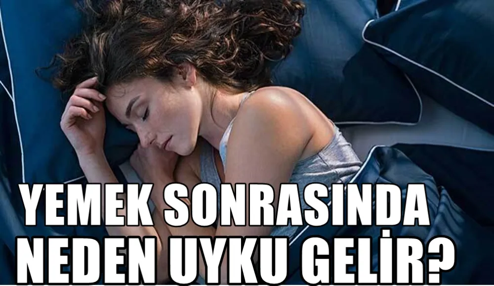 Yemek Sonrası Uyku Neden Gelir?