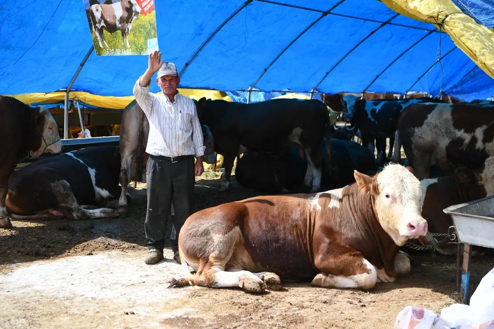 Mamak’ta Kurban Hazırlıkları Tamamlandı