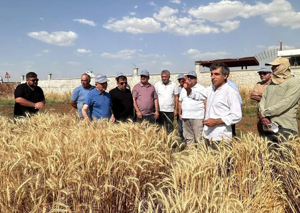 Mardin Tarım Bilimleri ve Teknolojileri Fakültesince  ‘Tarla Günü’ Etkinliği Gerçekleştirildi