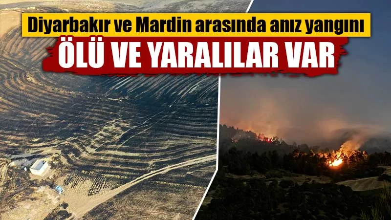 MAZIDAĞI VE ÇINAR İLÇELERİNDE YAŞANAN ANIZ YANGINLARINDA CAN KAYBI DA YAŞANDI