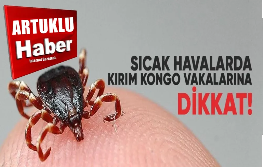 Sıcak Havalarda Kırım Kongo Vakalarına Dikkat!